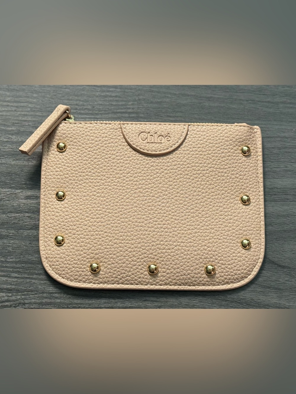 Chloe Blush Zip Clutch with Gold Plated Studs ~ Beauty ~ NWT